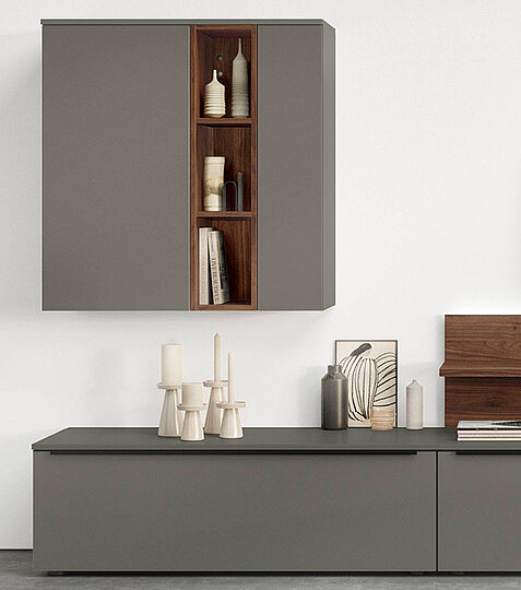 LASER 461, Taupe grey (2)
