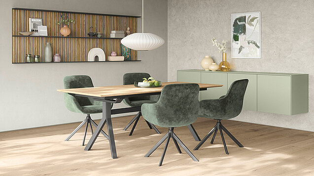 SENSO 495, Premium honed olive (4)