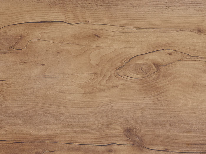 Worktop 347, Taxus reproduction