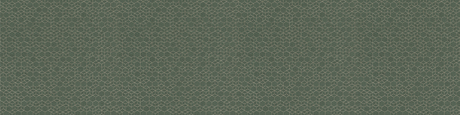 Seamless green pattern with continuous white heartbeat line illustrating a health or medical theme for a website background.